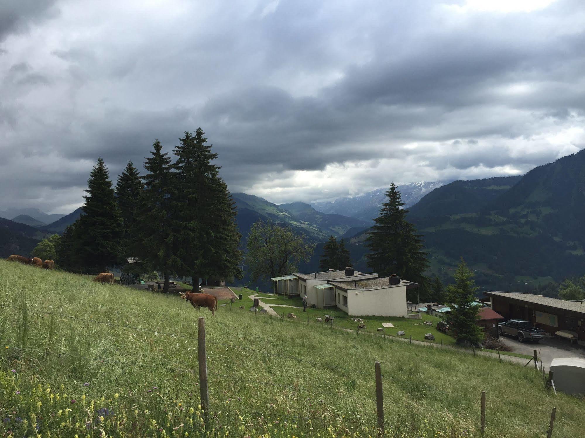 Leysin Lodge Exteriér fotografie